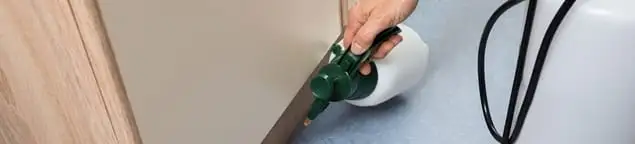 Bed bug exterminator treating baseboards and cracks with targeted spray in Fort Collins, CO
