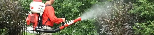 Mosquito control technician fogging shrubs and landscaping for mosquito treatment in Fort Collins, CO