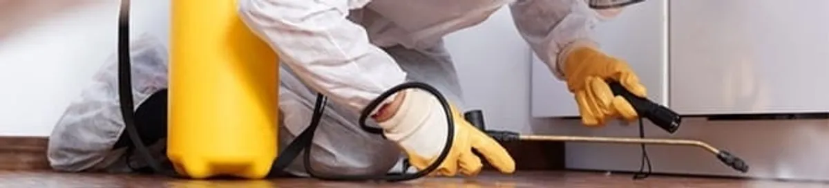 Roach exterminator treating cracks and crevices along kitchen baseboards in Fort Collins, CO