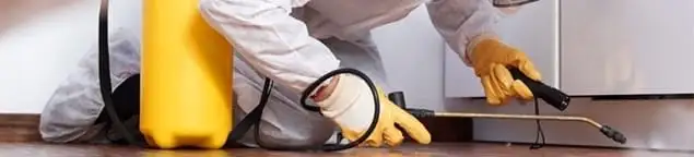 Roach exterminator treating cracks and crevices along kitchen baseboards in Fort Collins, CO
