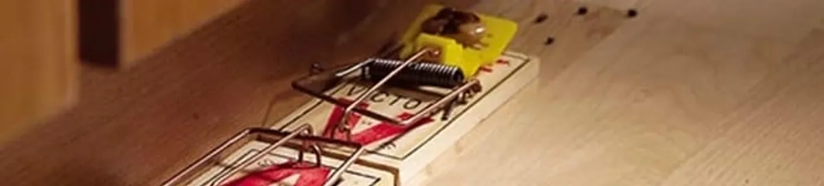 Rodent trap set indoors for rodent control and prevention in Fort Collins, CO