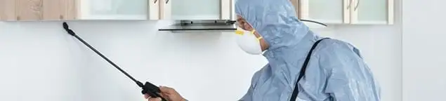 Termite treatment technician applying indoor pest control spray in Fort Collins, CO